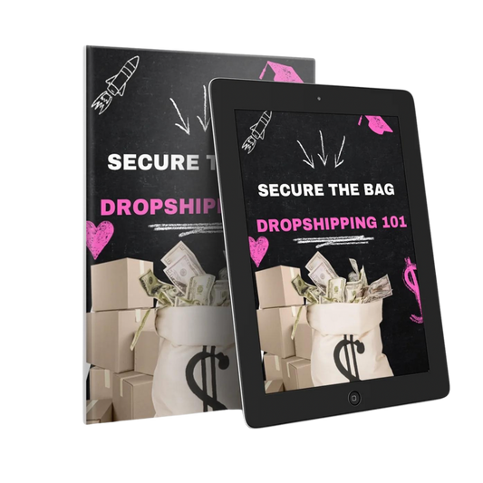 Secure The Bag - Dropshipping 101 (Digital Product)